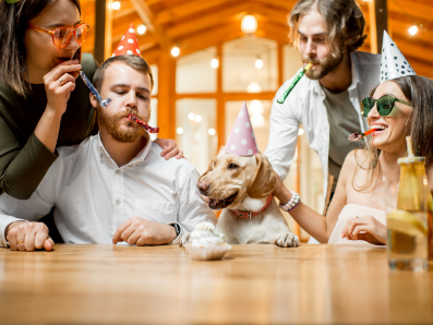 New Year's Resolutions for Pet Owners