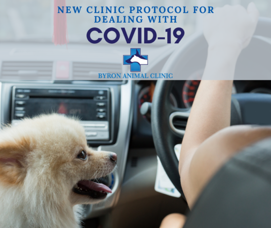 NEW CLINIC PROTOCOL FOR DEALING WITH COVID-19