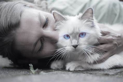 LovingCatOwner2